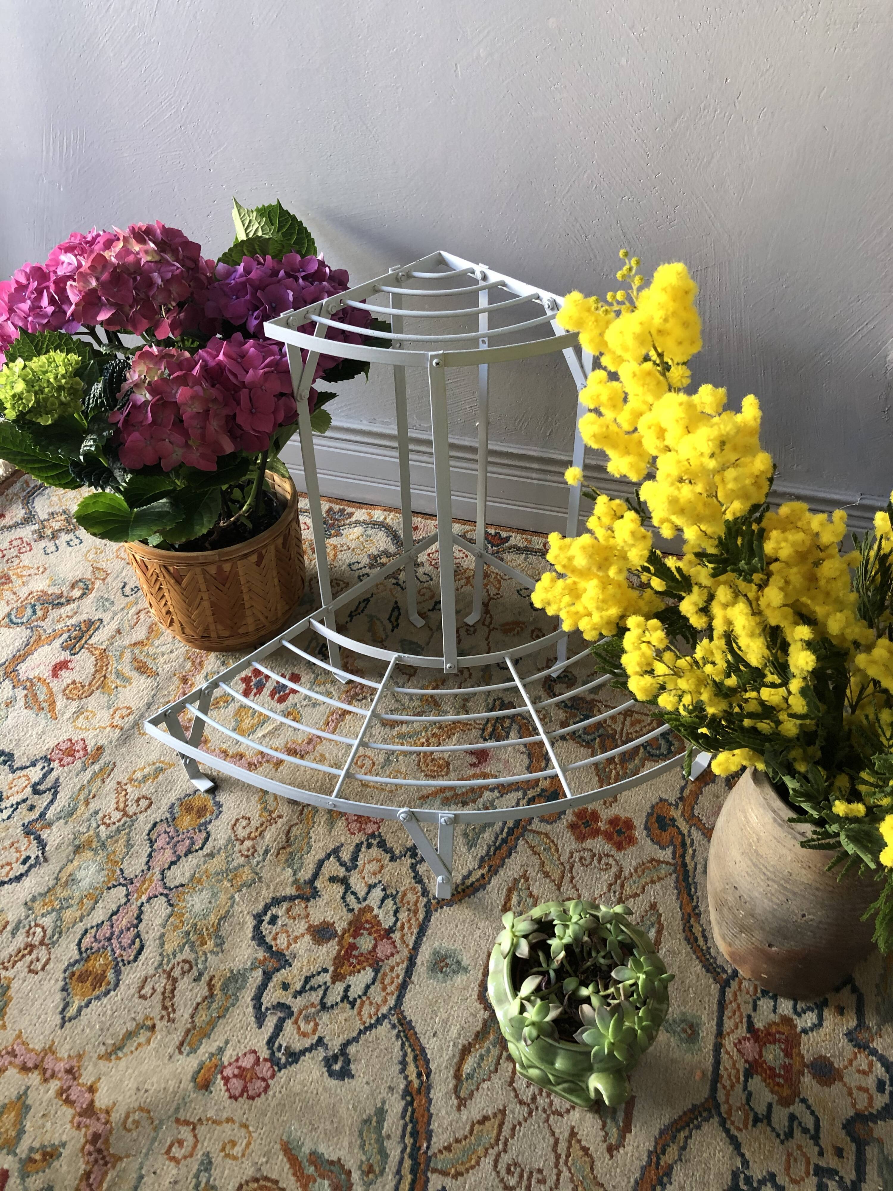Corner plant door