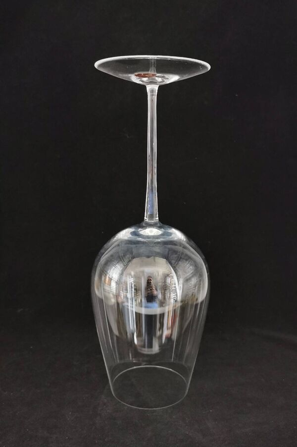 Grand verre à vin dégustation cristal Moser 37 cm