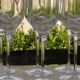 Set of 6 ARQUES crystal champagne flutes. BAVELLA model.