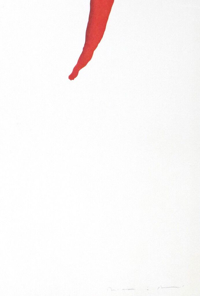 Original signed engraving Riera I Arago Jose Maria, Avión en ángulo con amarillo, 2010