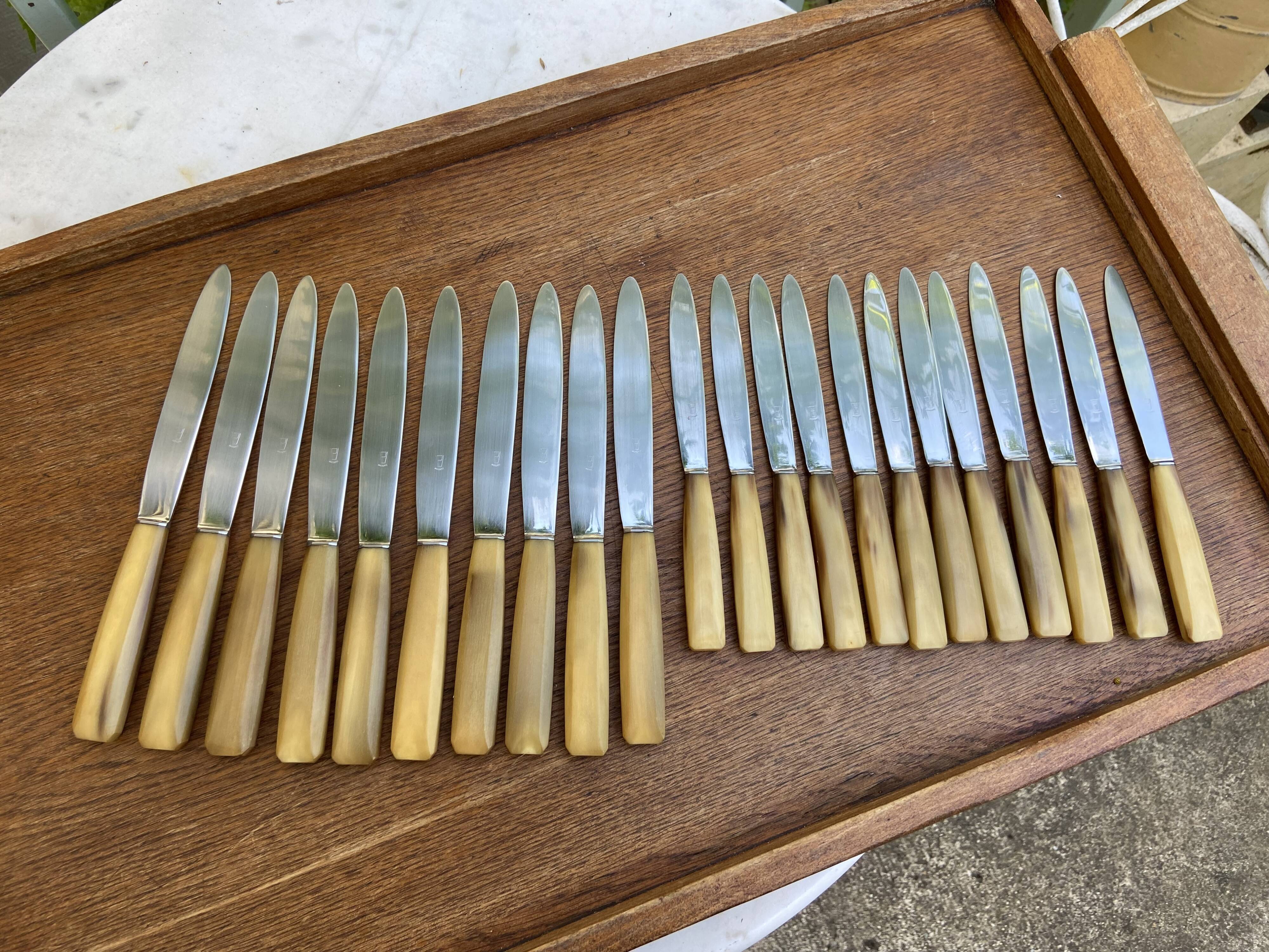 Set of 10 knives and 12 vintage horn knives
