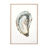 "Clauda", the oyster, art print 21/29.7 cm