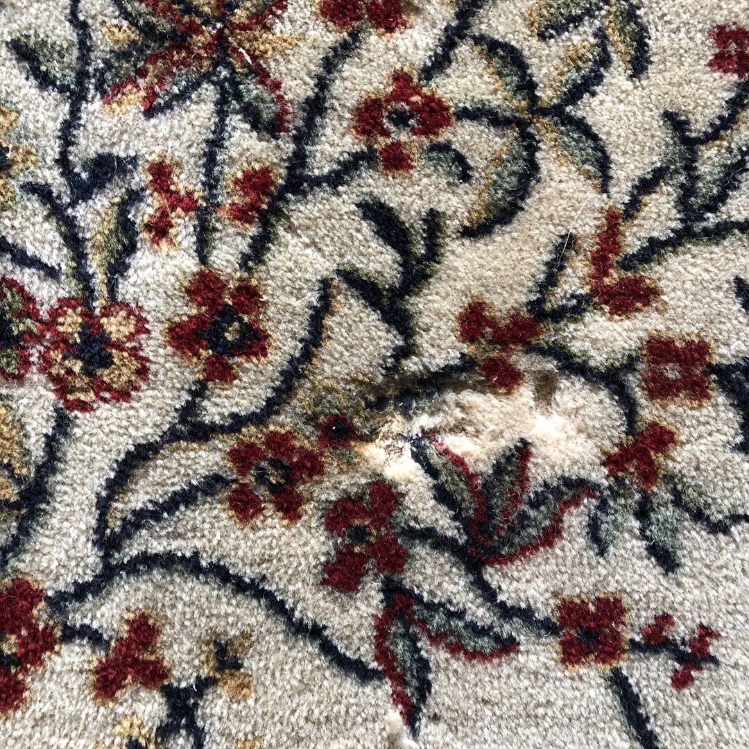 Oriental carpet 162x220