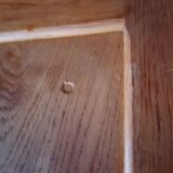 Parisian wardrobe sliding doors