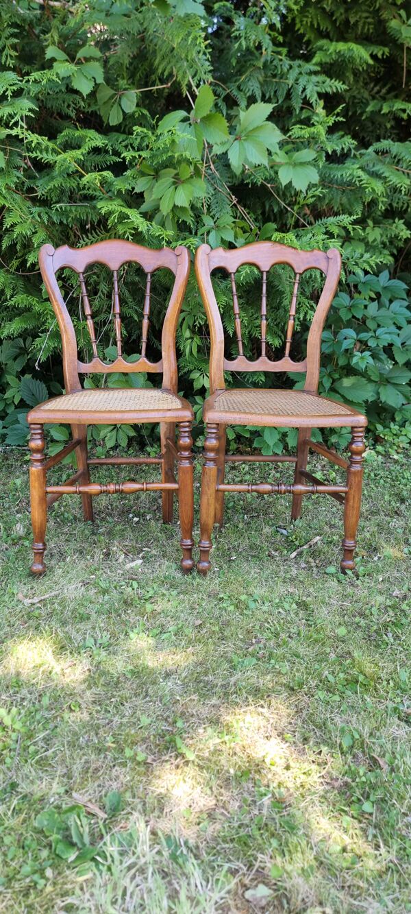Paire de chaises chaises cannées style Napoléon III