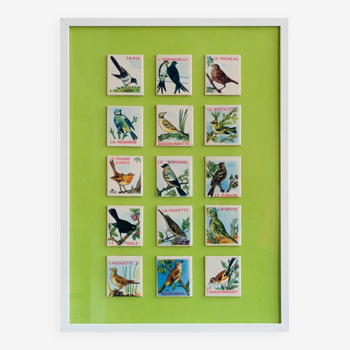 Illustration -oiseaux