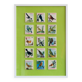 Illustration -birds