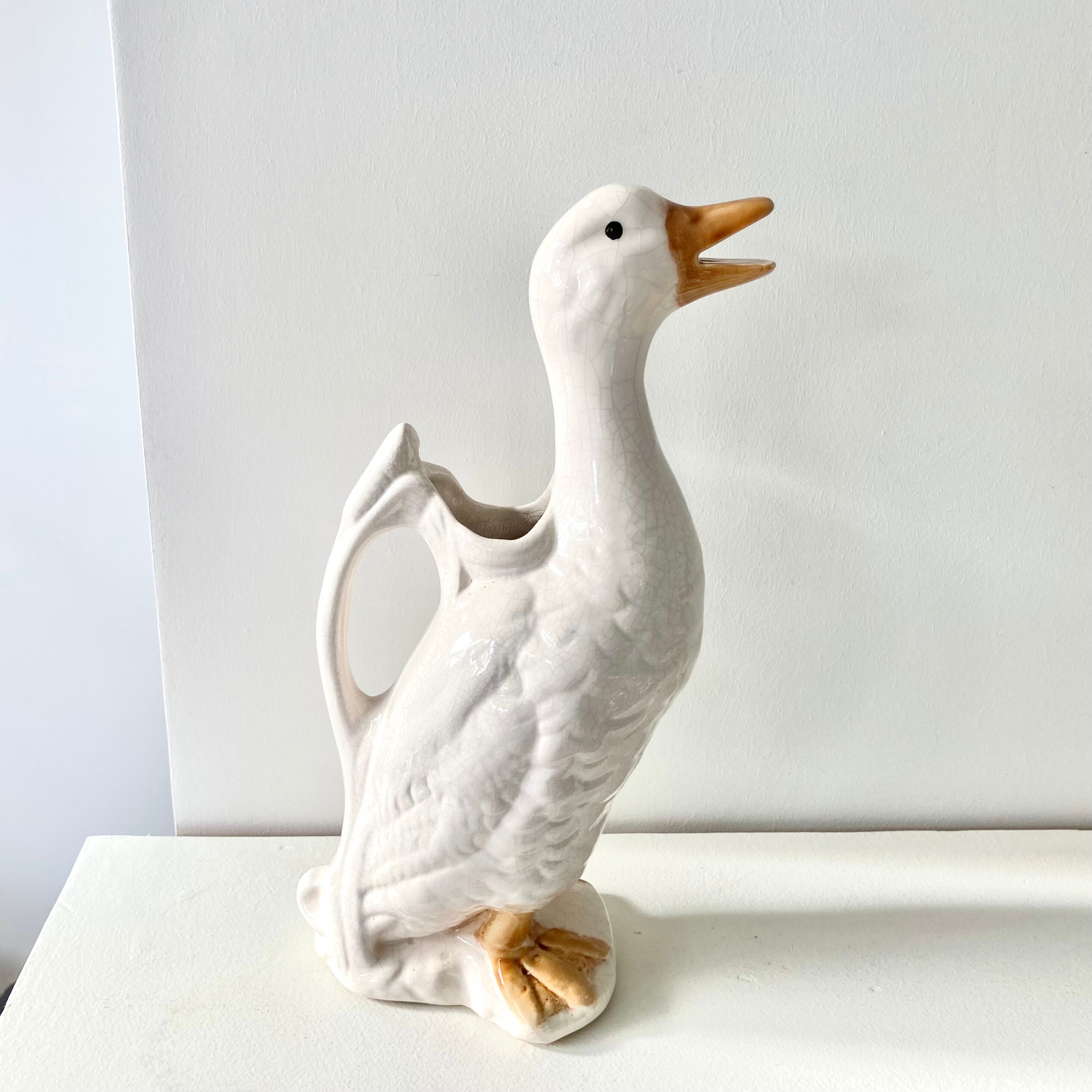 Pitcher duck slurry St Clément