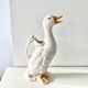 Pitcher duck slurry St Clément