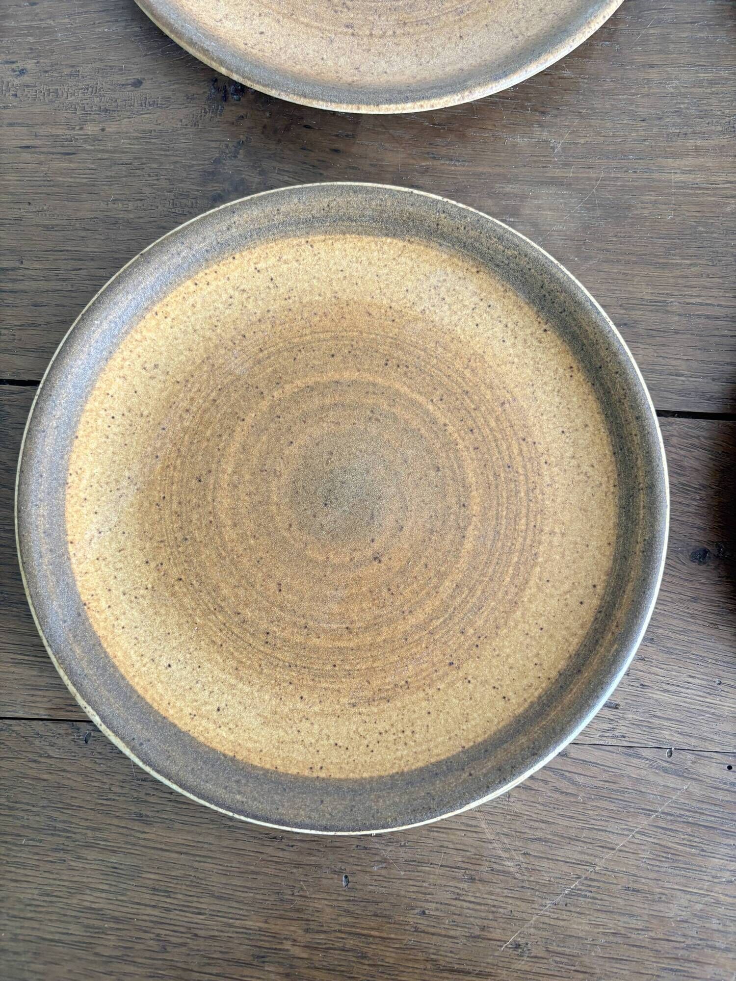 Service of 15 vintage Longchamp plates in stoneware.
