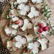 Antique barbotine service with Choisy le Roi apple decorations