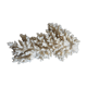 Coral vintage 70s branch