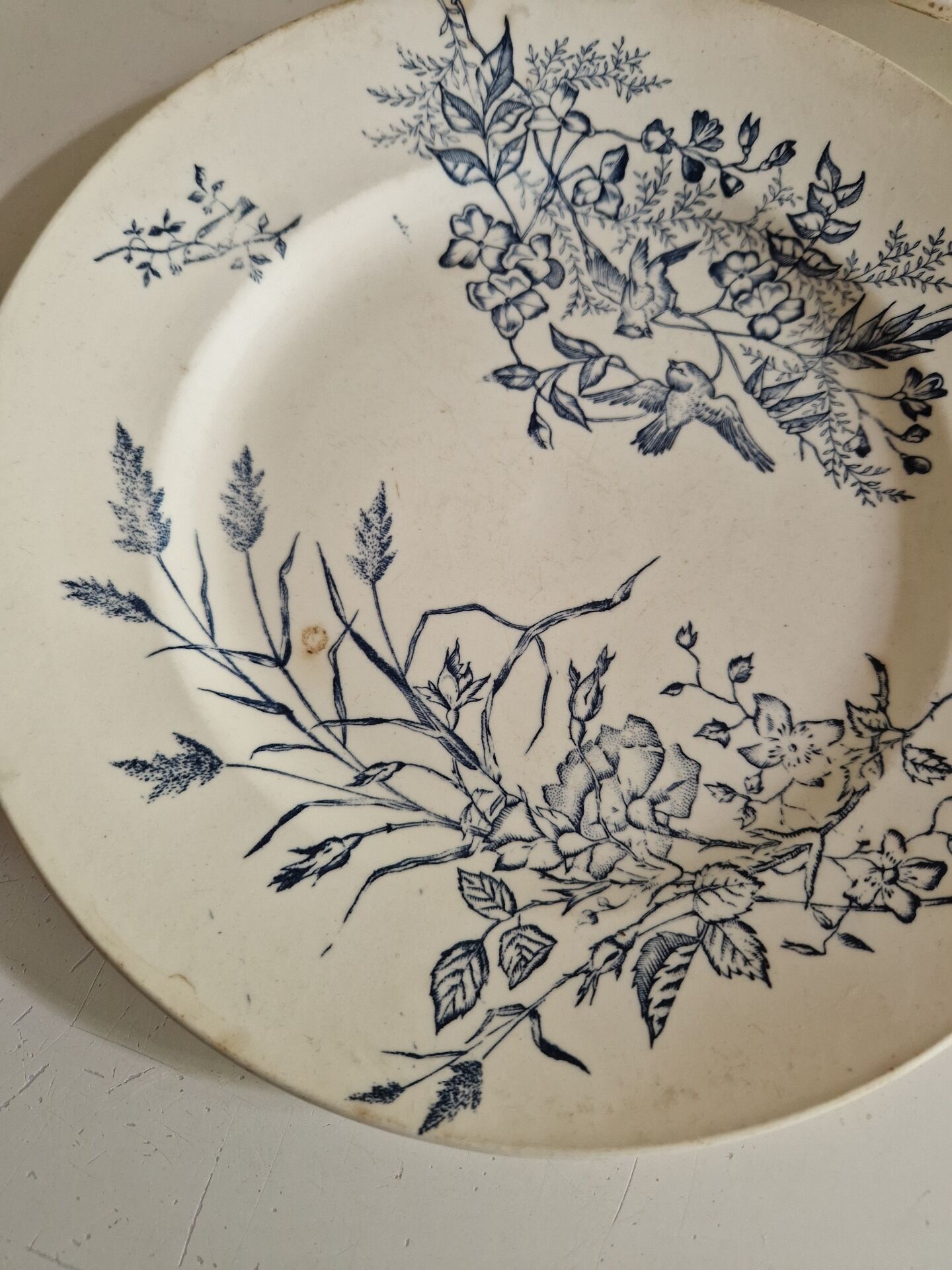 Lot De 9 Assiettes Plates Terre De Fer