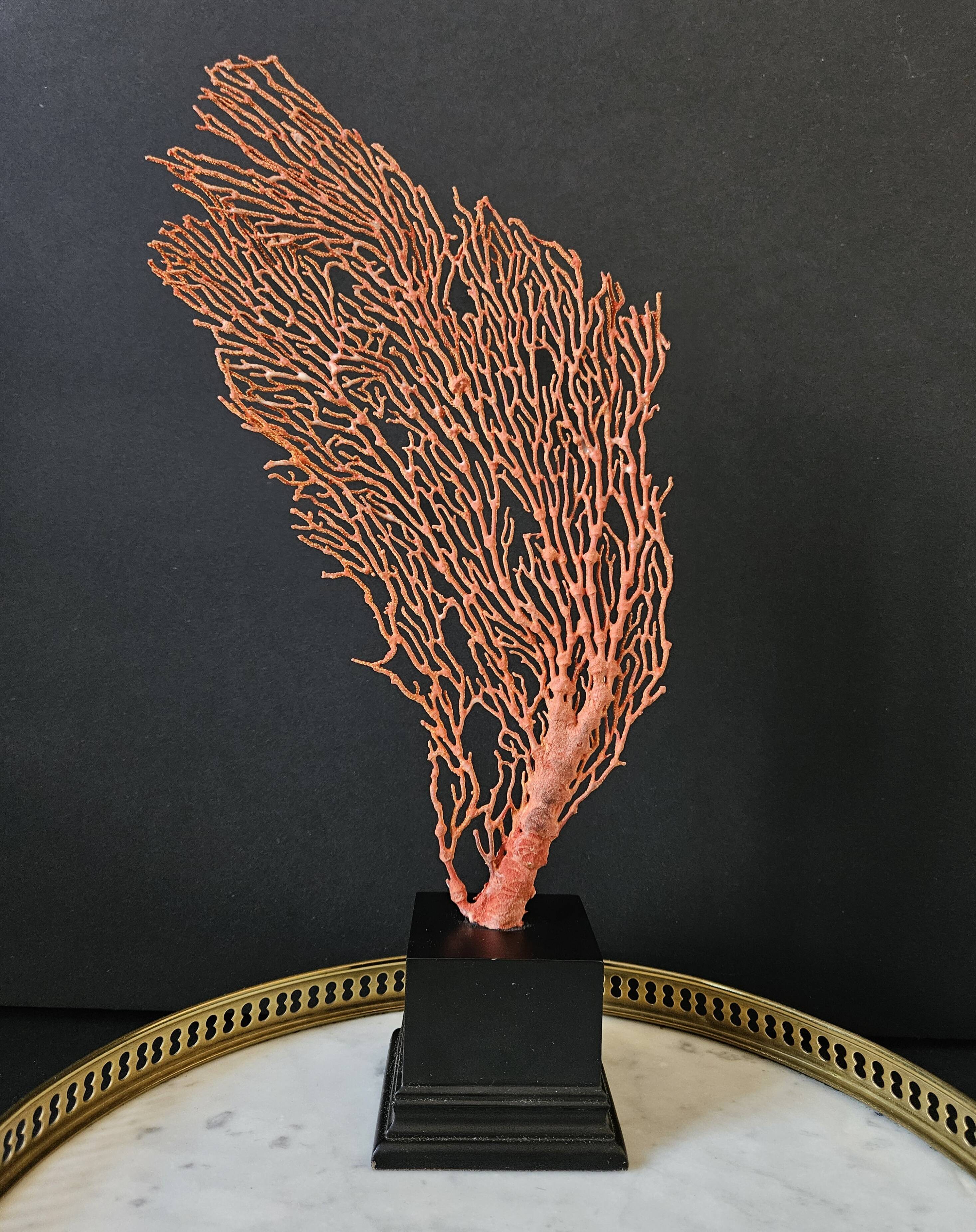 Large Red/Orange Gorgon Black wooden base. H: 36 cm