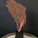 Large Red/Orange Gorgon Black wooden base. H: 36 cm