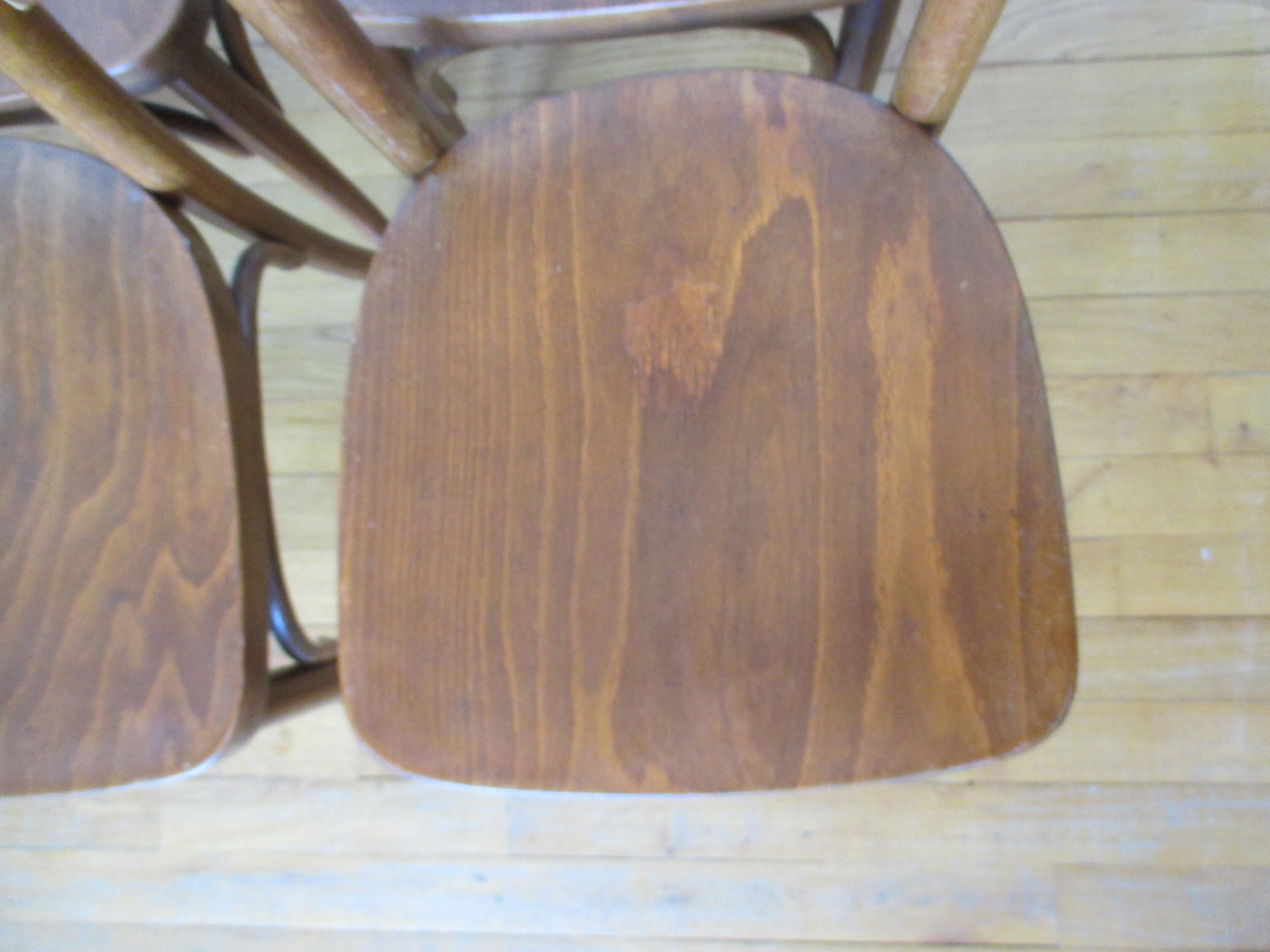 6 chaises bistrot Thonet bois courbé