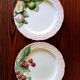 Duo d'assiettes italiennes en barbotine 