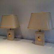 Pair of lamps decorated with golden turtles