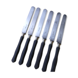 Set of 6 ancient fruit knives steel blades and blacked wooden sleeves napoleon iii