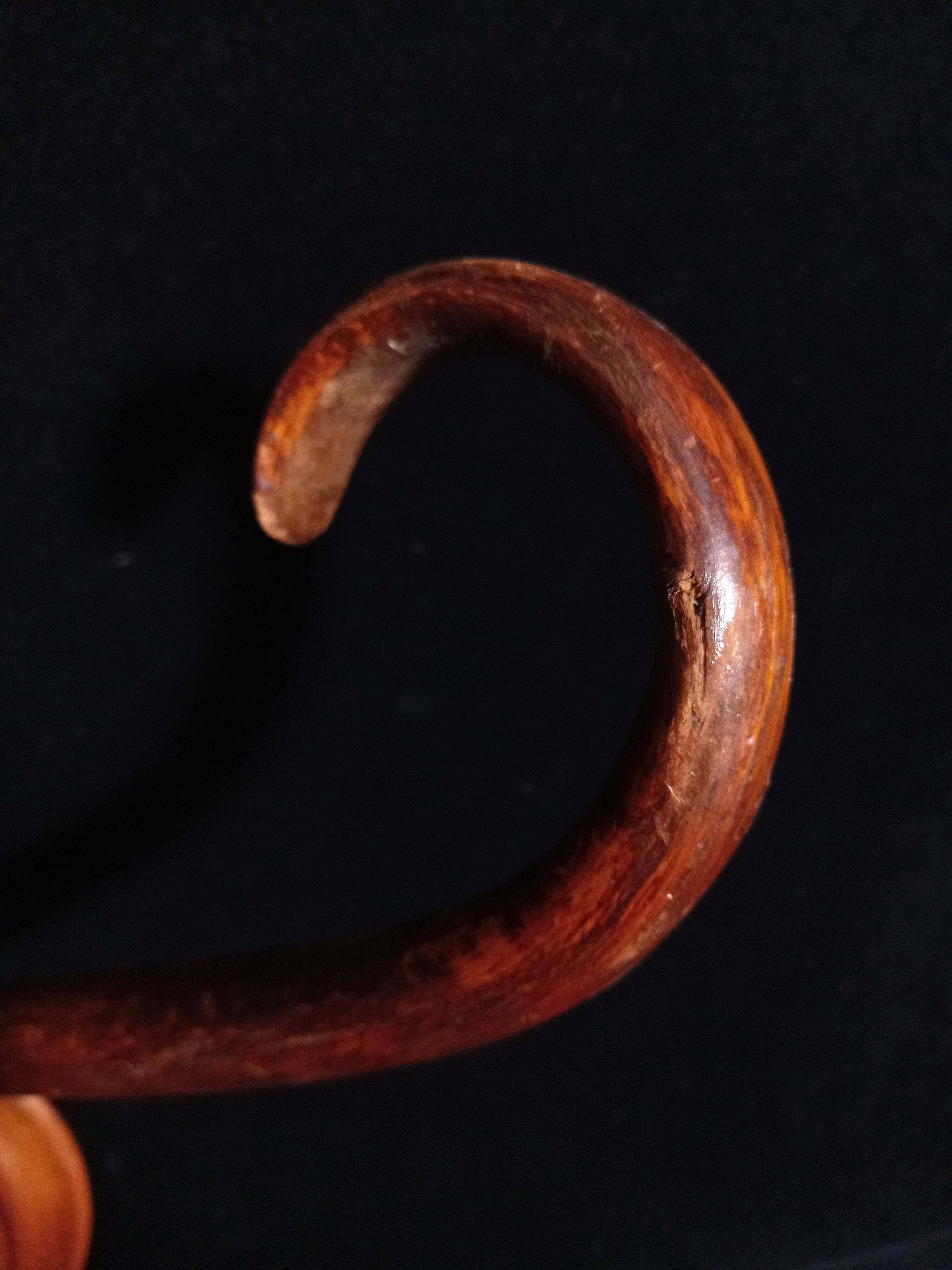 Double Art Nouveau Coat Hook in Bent Wood from Thonet