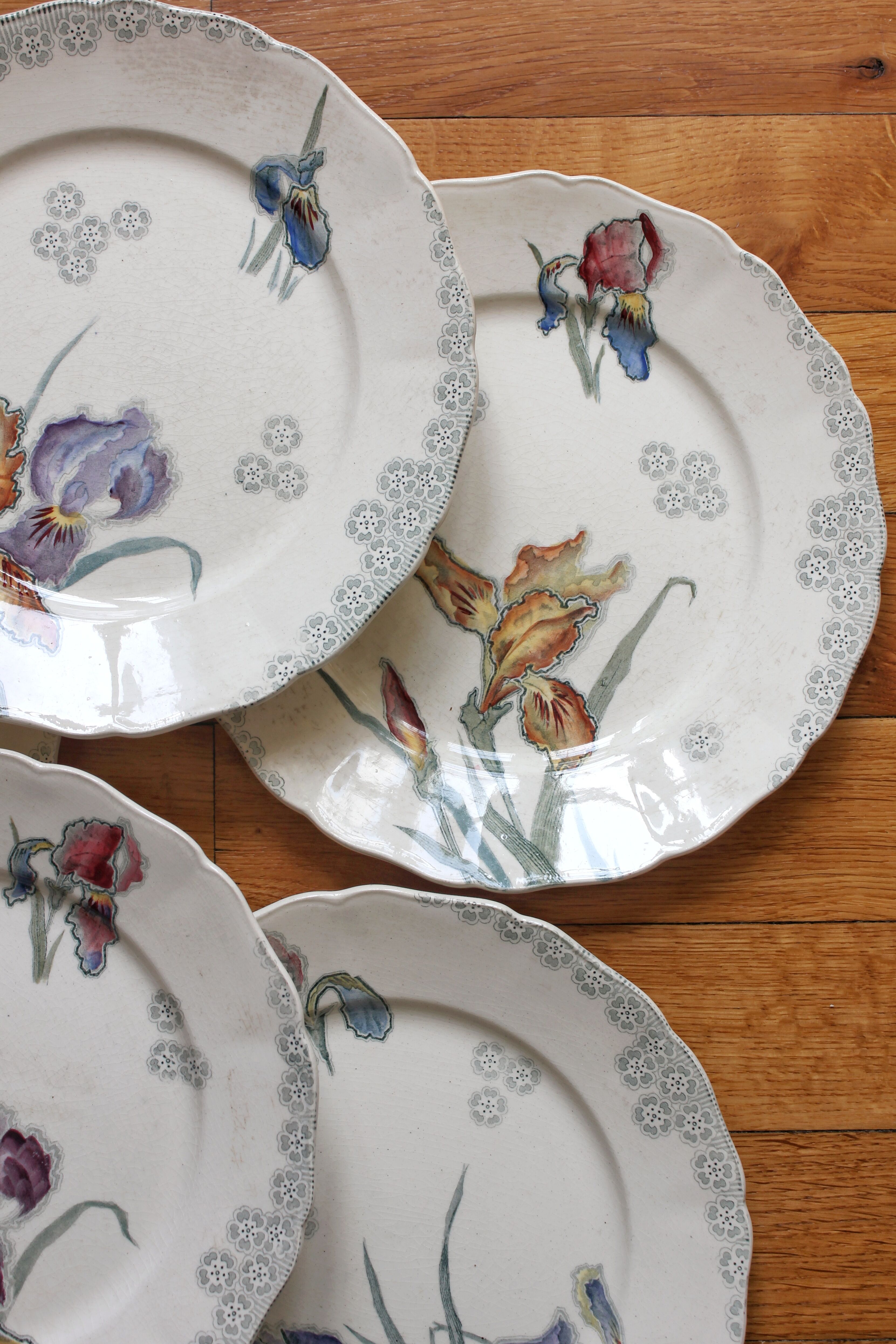 6 large flat plates in polychrome iron earth model "Iris" Choisy-le-Roi