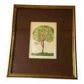 Original signed drawing – Tree with birds - frame 33/28 cm