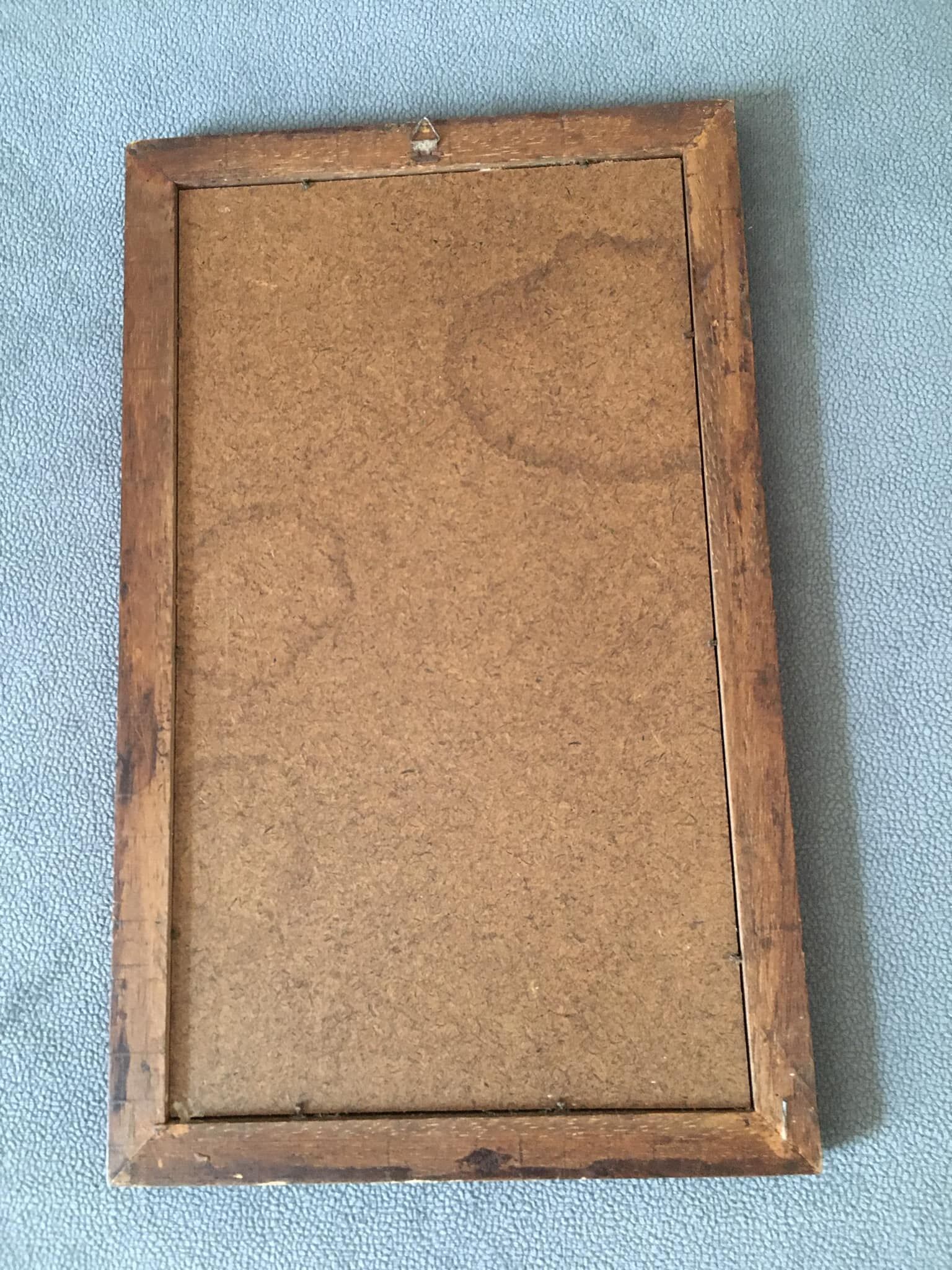 Botanical illustration "Sabdariffa", antique print in wooden frame