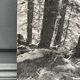 Silver gelatin photograph by Bernard Darot, Undergrowth and rocks, 20th century