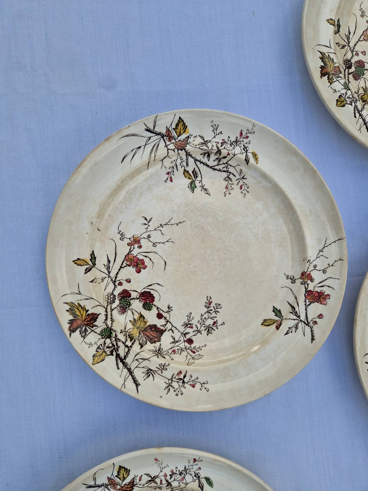 Set of 12 Terre De Fer Plates Manufacture Moore & Co Model Como
