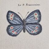 Natural history plate "The Butterflies of Europe", after Pietro Scattaglia, 18th century