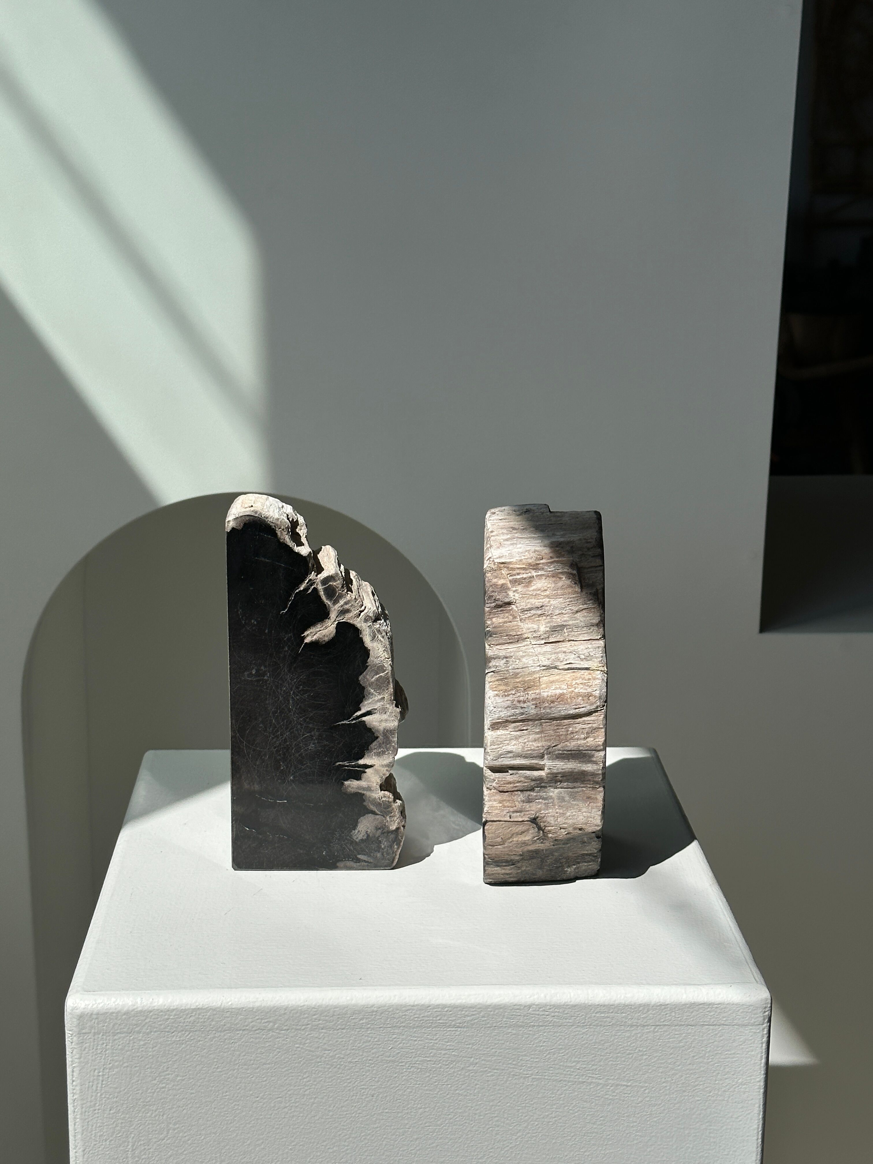 Black petrified wood bookend H17 L17 P6