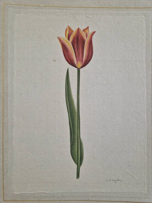 La Roche Laffitte (Born in 1943) - Watercolour drawing on silk - Tulip
