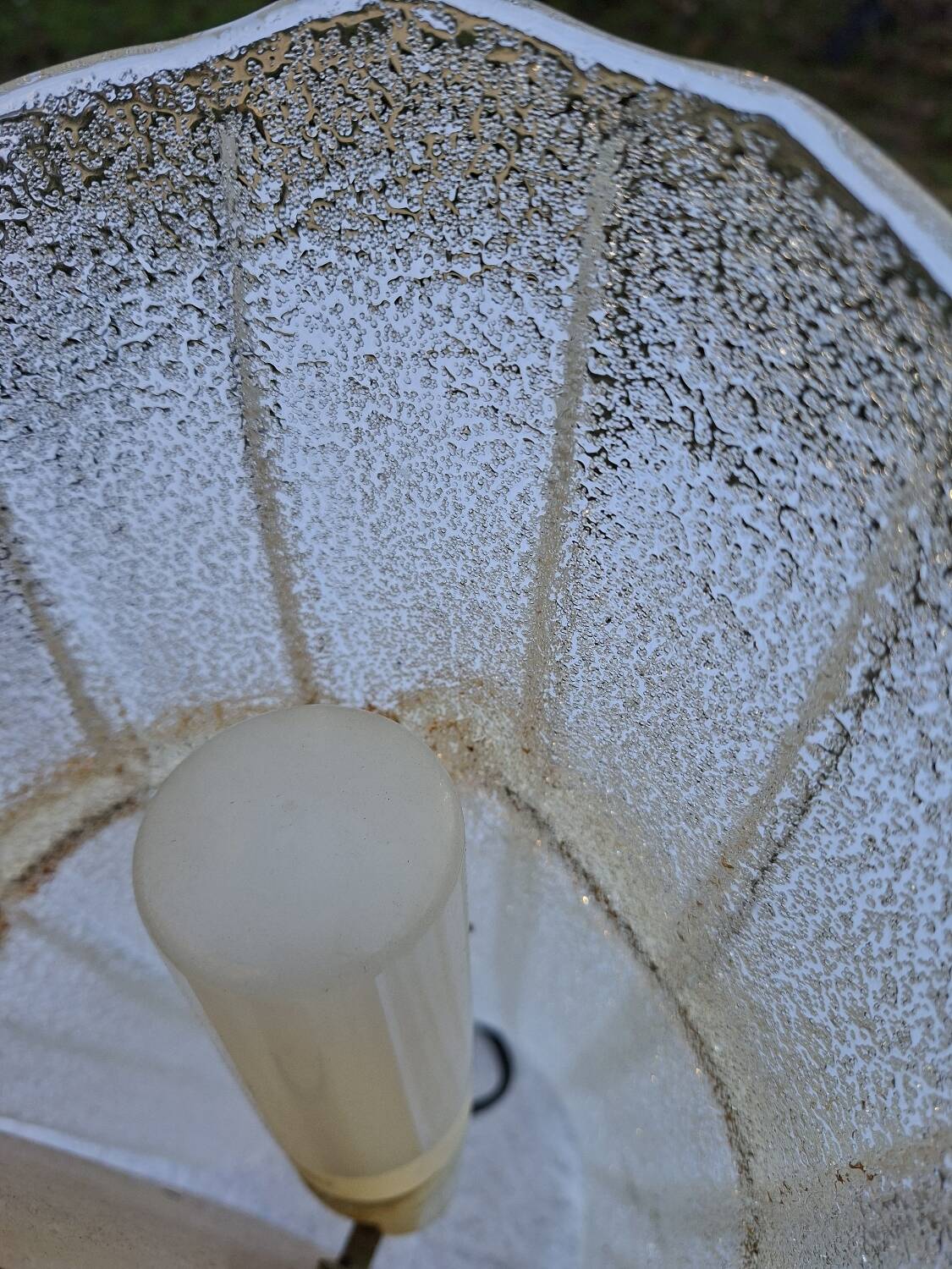 Vintage Murano wall light