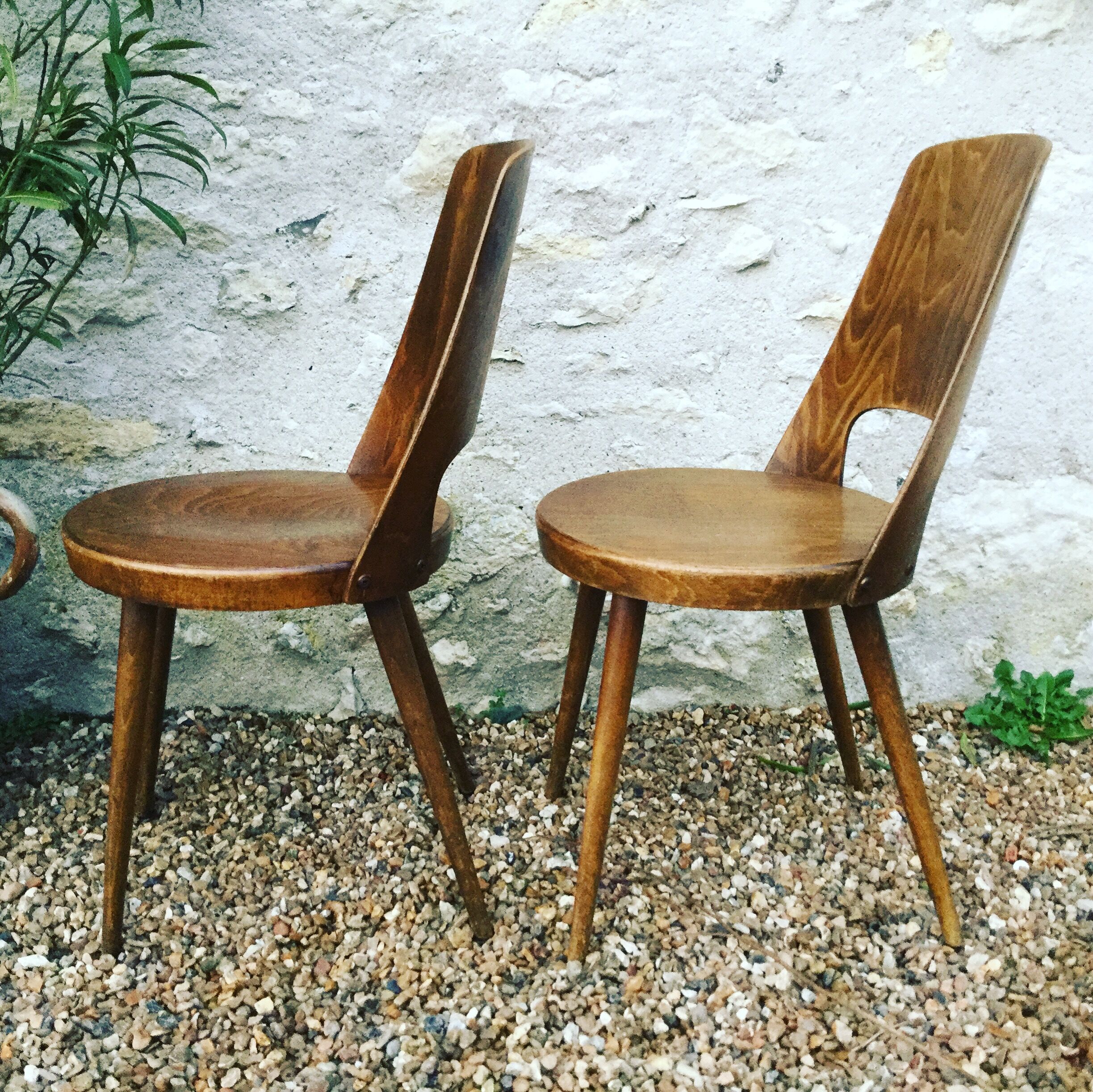 Pair of chairs Baumann Mondor