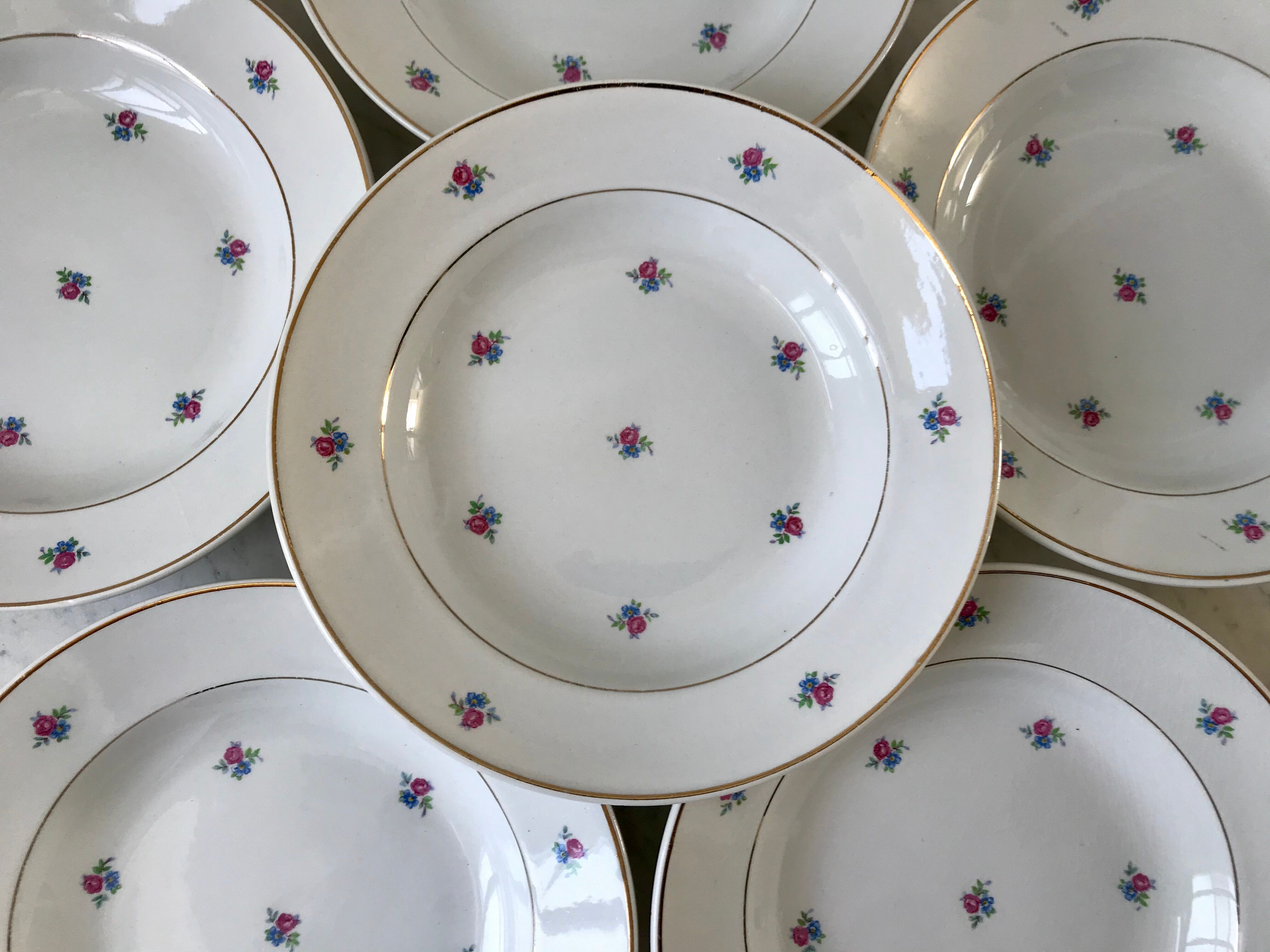 set of 6 hollow plates Digoin Sarreguemines model Floréal years 50-60