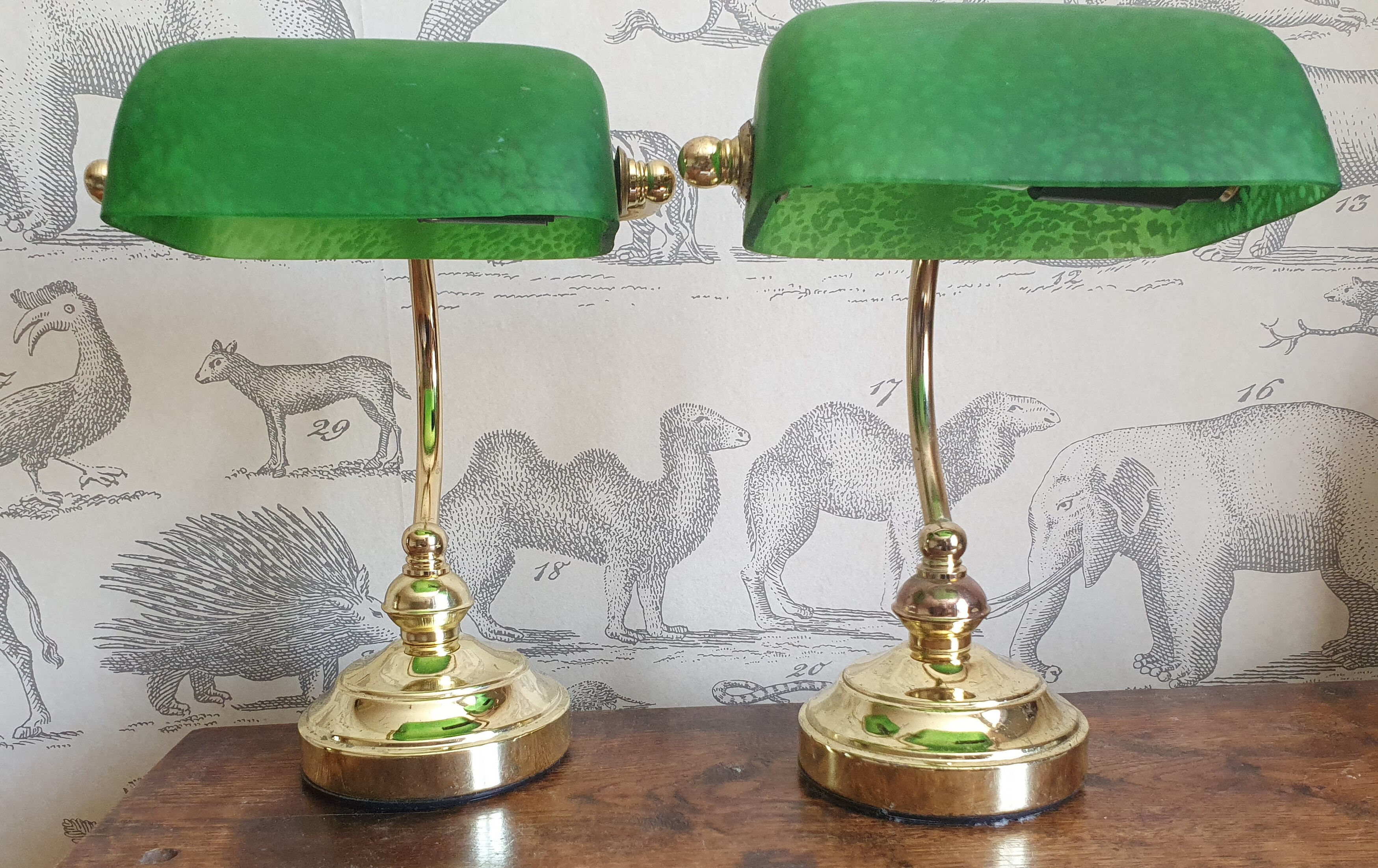 Pair of notary or banker lamps