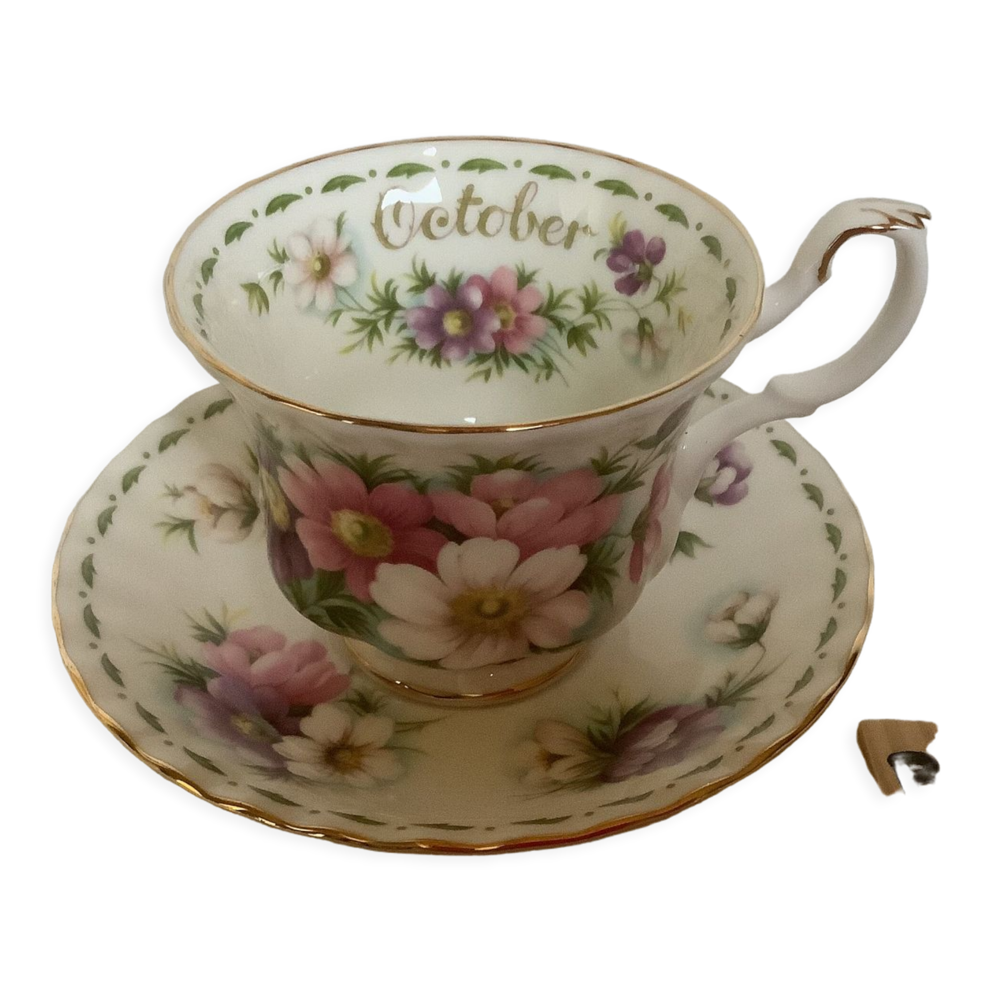 Cosmos Cup October Royal Albert