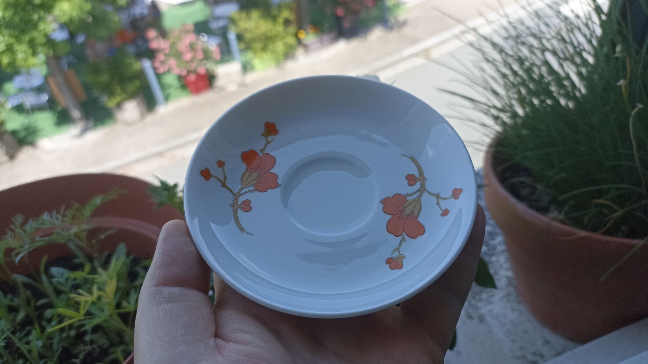 9 espresso cups Scherzer Bavaria - Bavarian porcelain 70s