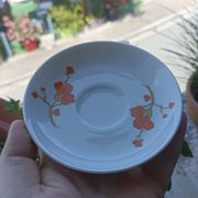 9 espresso cups Scherzer Bavaria - Bavarian porcelain 70s
