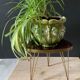 Vintage plant holder
