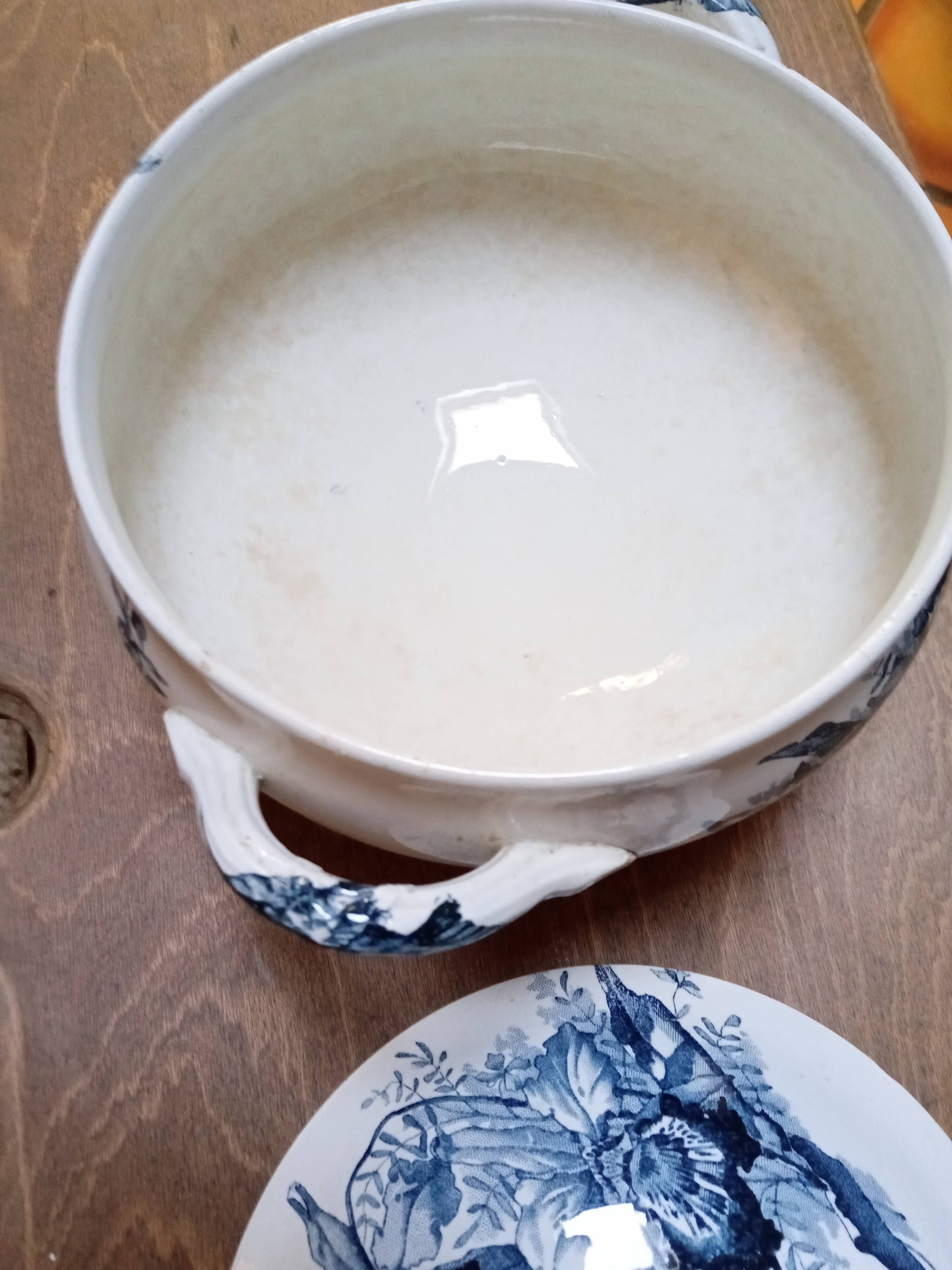 Tureen Iron Earth Orchids