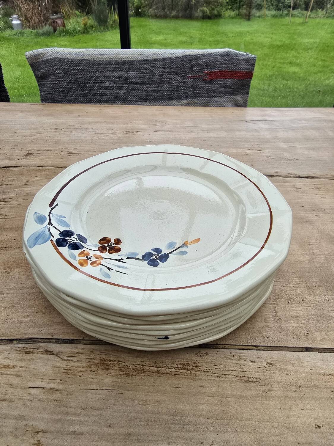 9 Sarreguemines plates model 5041