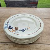 9 Sarreguemines plates model 5041