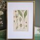 Botany under frame Wild garlic