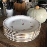 Flat plates l'Amandinoise