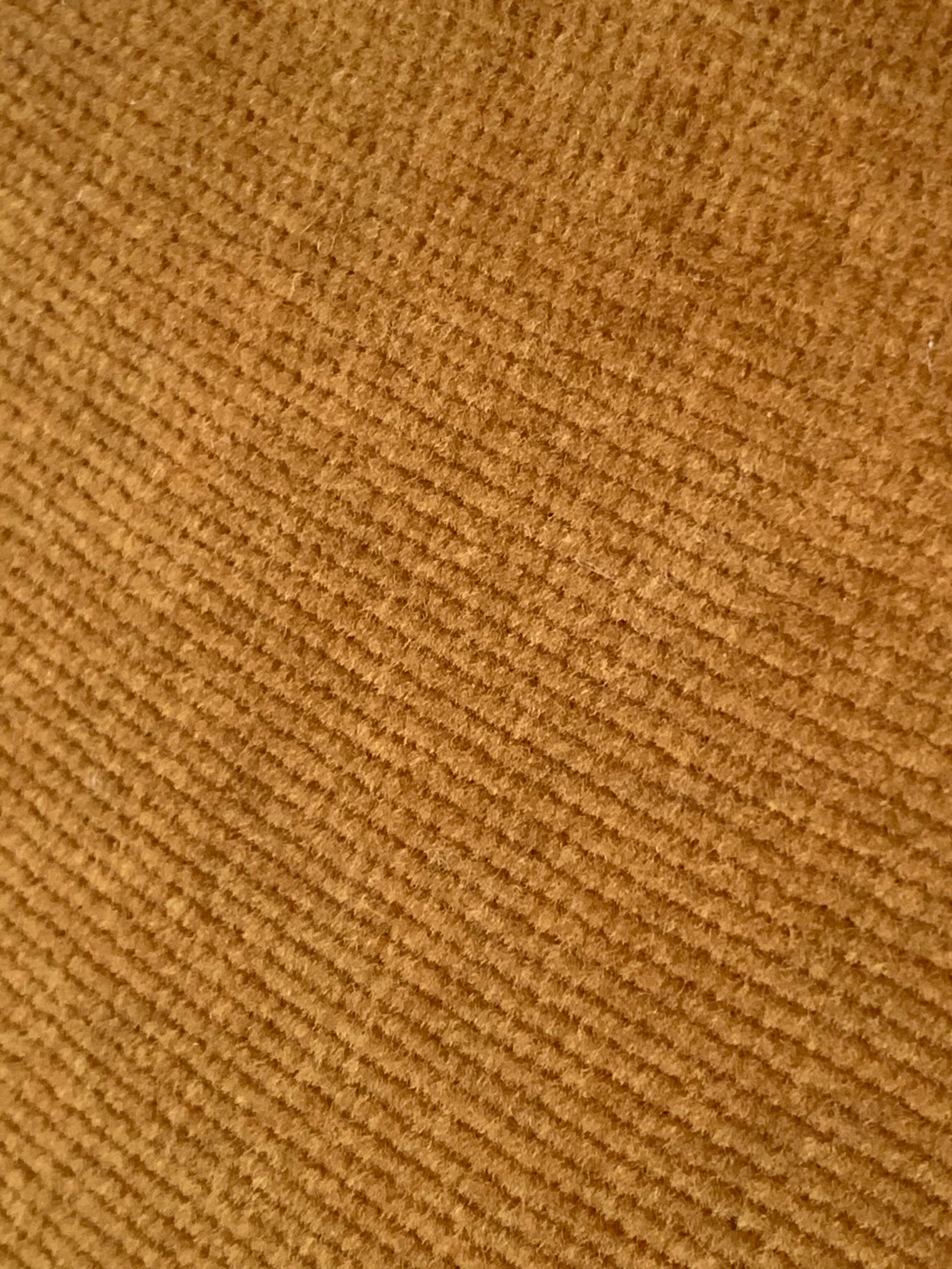 Pair of golden velvet toad armchairs 1970