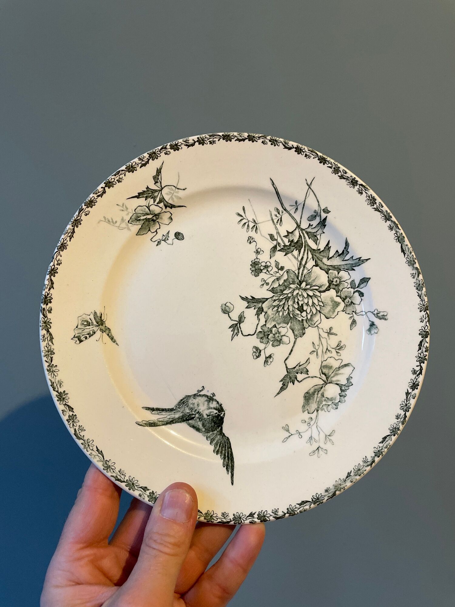 Set of 12 Terre de Fer dessert plates Grand Dépôt E.Bourgeois
