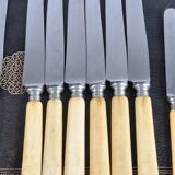 Antique knives with ivory handles.