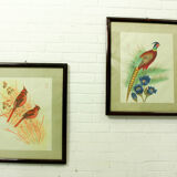 Antique asian painting on rice paper in high quality wood frames, c 1910s