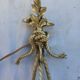 Pair of brass wall light